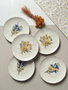 Hermia Juego de 6 Platos para Postre de Porcelana, 21x21 cm, Apto Lavavajillas y Microondas